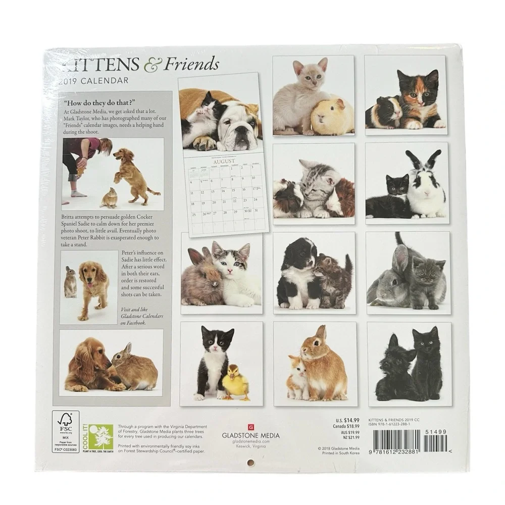 2019 Kittens & Friends Gladstone Media Wall Calendar New